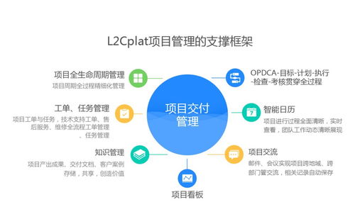 企業(yè)項(xiàng)目管理不變革 從骨子里掉隊(duì)的陷阱
