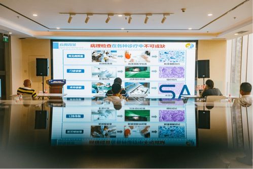 數(shù)字經(jīng)濟(jì)產(chǎn)業(yè)賦能 場(chǎng)景匯路演聚焦人工智能雙創(chuàng)服務(wù)與智慧教育新機(jī)遇